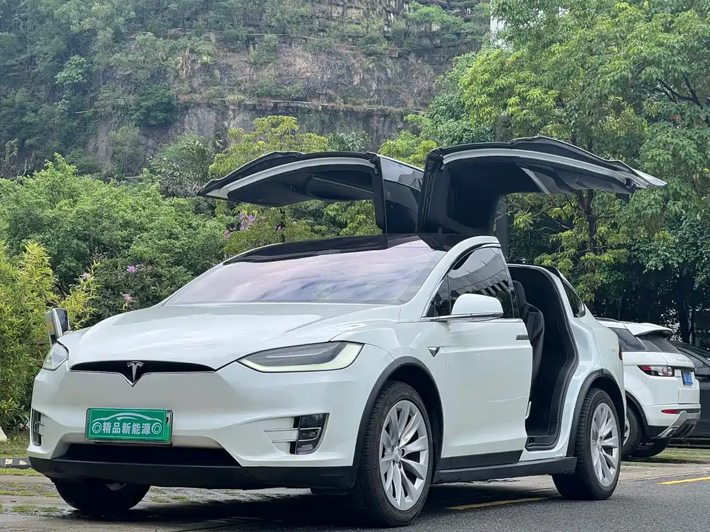 Tesla Model X 2018 — фото 8
