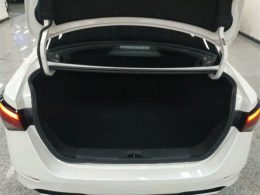 Nissan Sylphy 2021 — фото 19