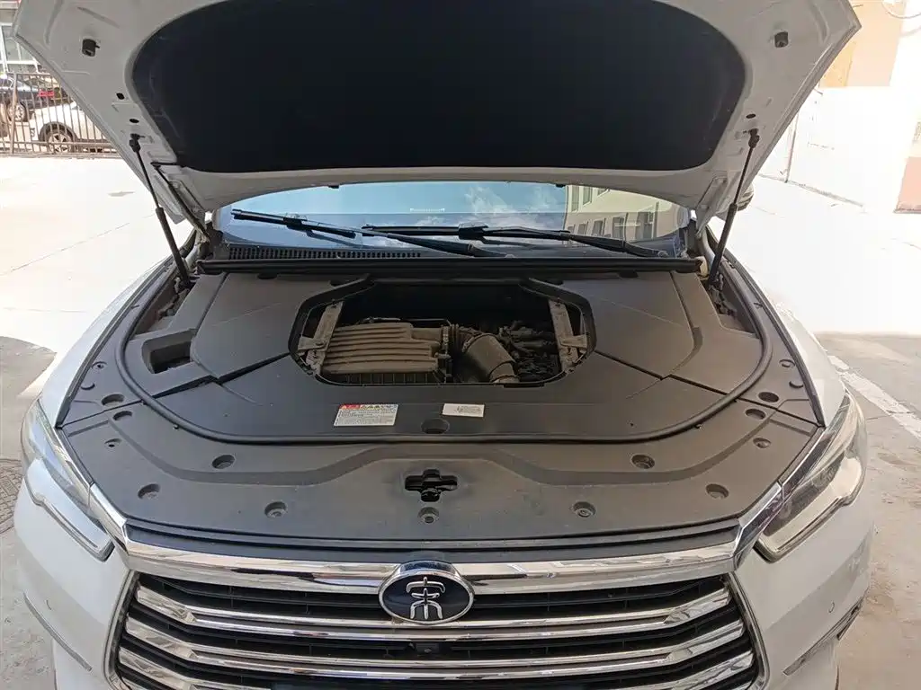 BYD Pro New Energy 2020 — фото 16