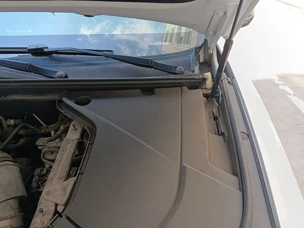 BYD Pro New Energy 2020 — фото 23