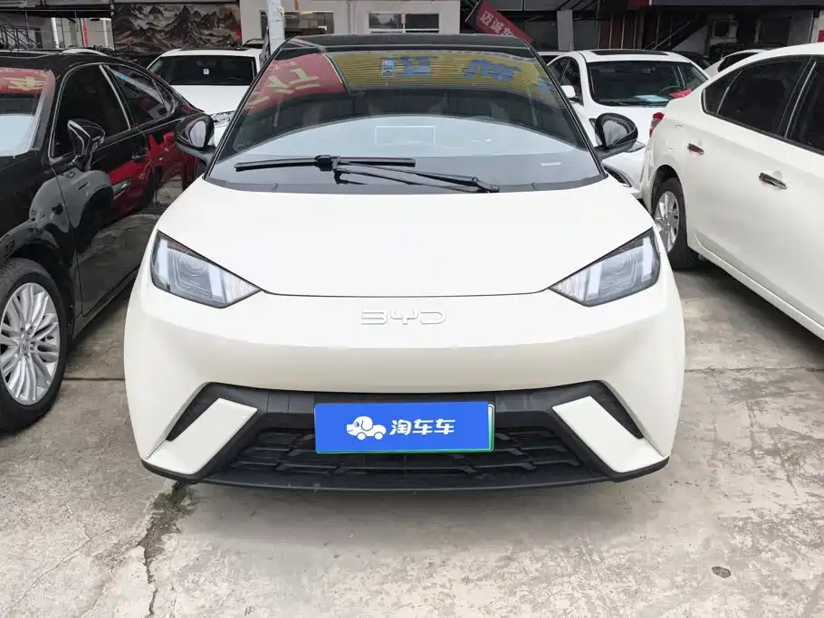 BYD Seagull 2024