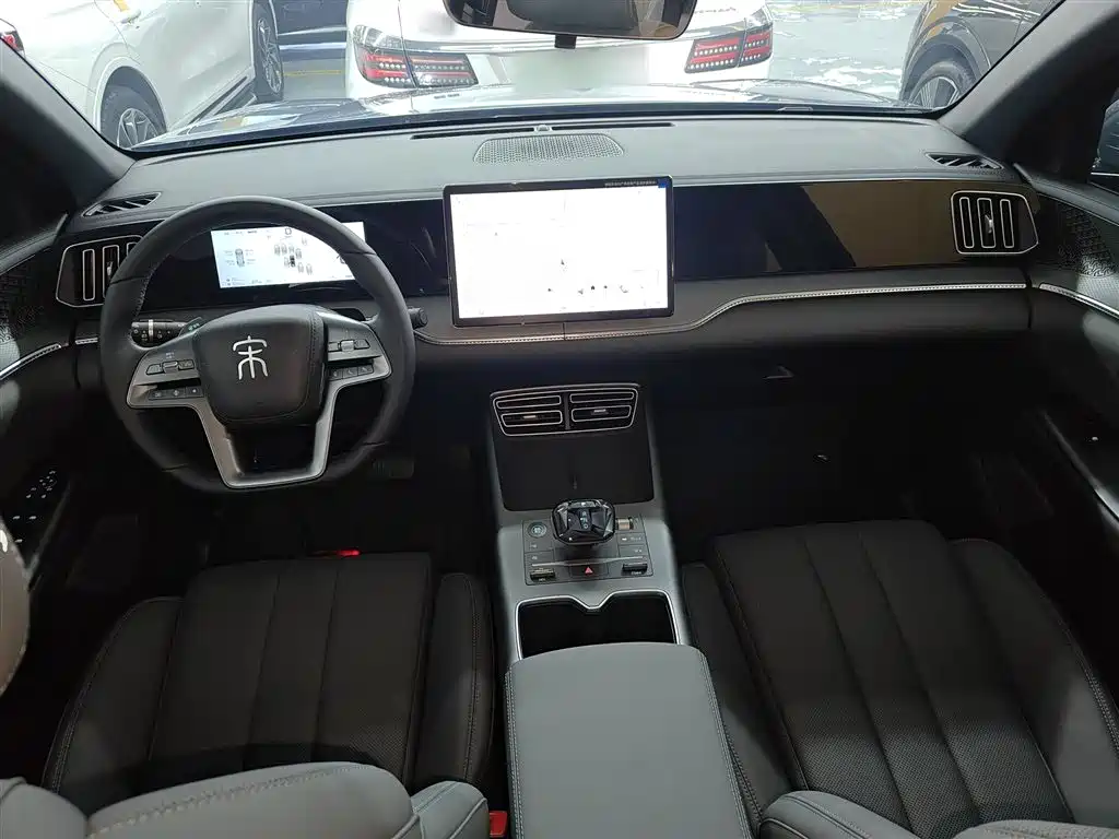 BYD Pro New Energy 2025 — фото 6