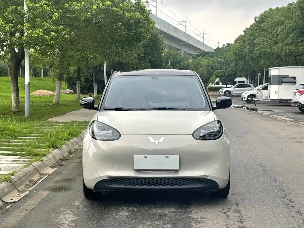 Wuling Bingo 2024