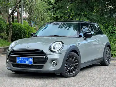 MINI MINI 2021
