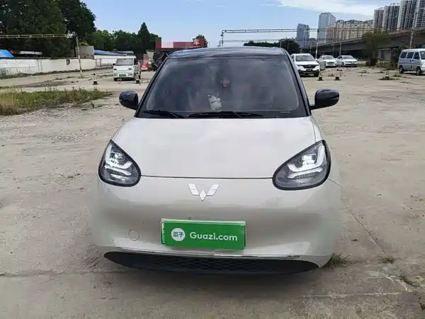 Wuling Bingo 2024