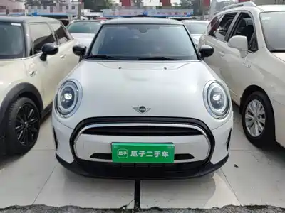 MINI MINI 2024