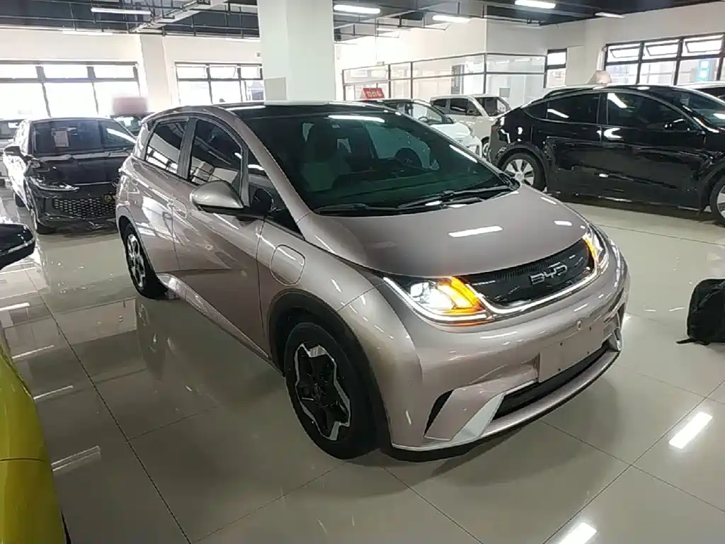 BYD Dolphin 2022