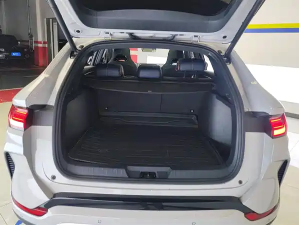 BYD Song PLUS New Energy 2024