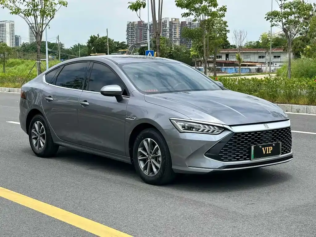 BYD Qin PLUS 2024 — фото 2