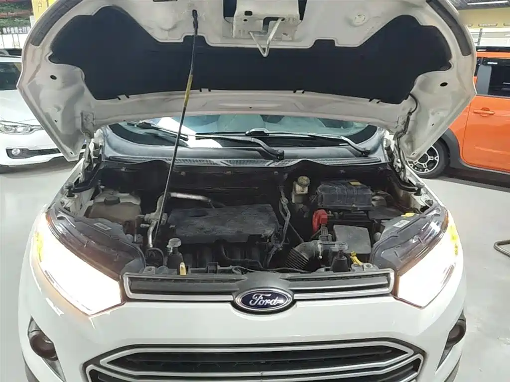 Ford Ecosport 2020 — фото 20