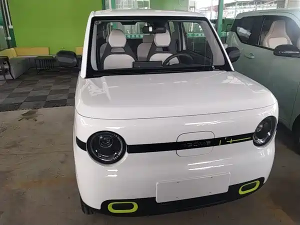 Geely Galaxy Panda 2026