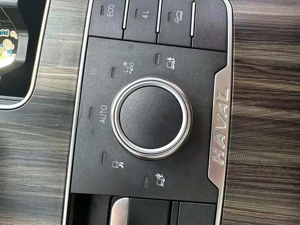 Haval H9 2020 — фото 10