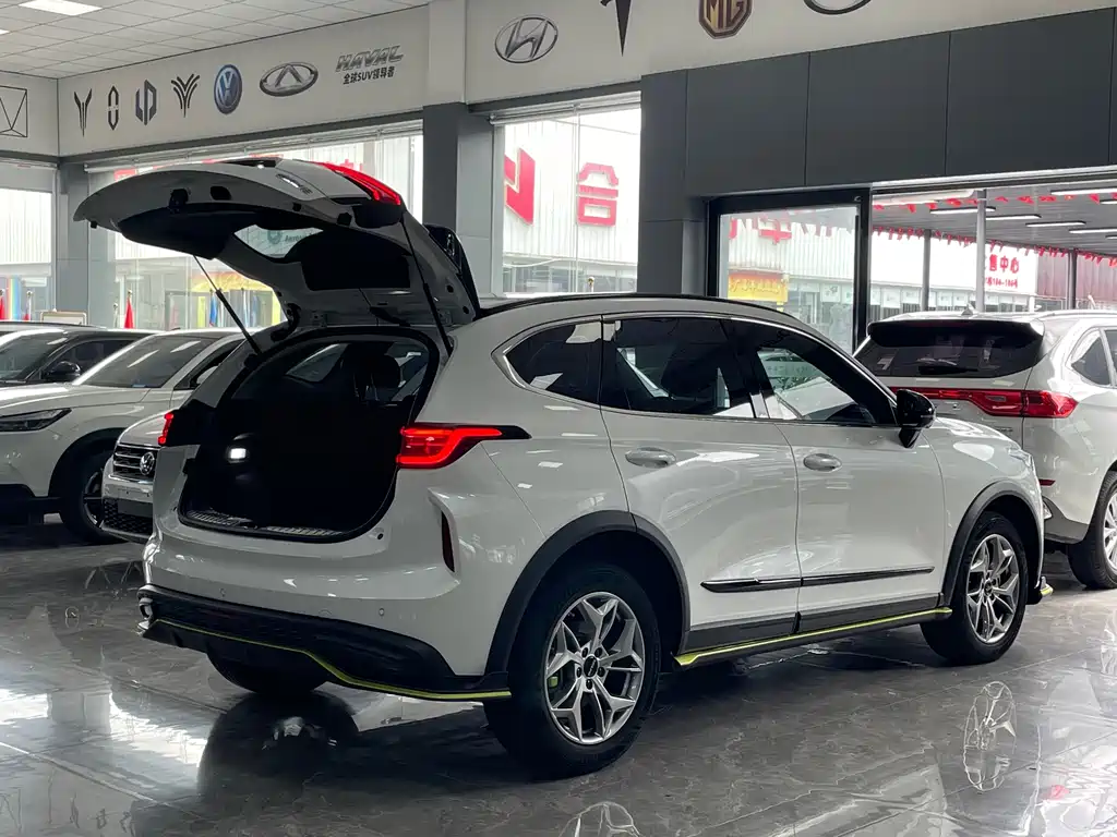 Haval Harvard Red Rabbit 2022 — фото 16
