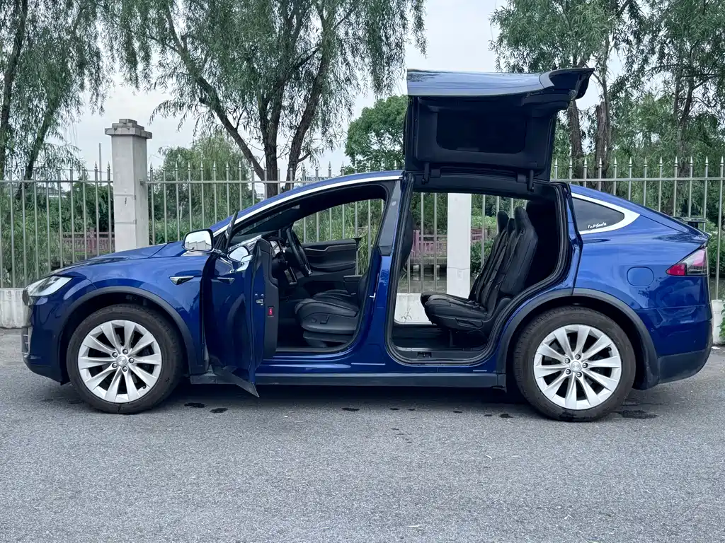Tesla Model X 2019 — фото 15