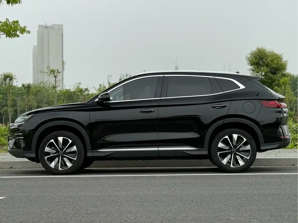 BYD PLUS New Energy 2024 — фото 3