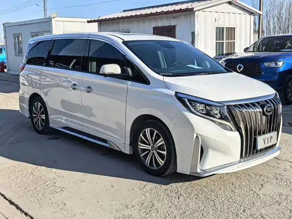 GAC Trumpchi M8 2020