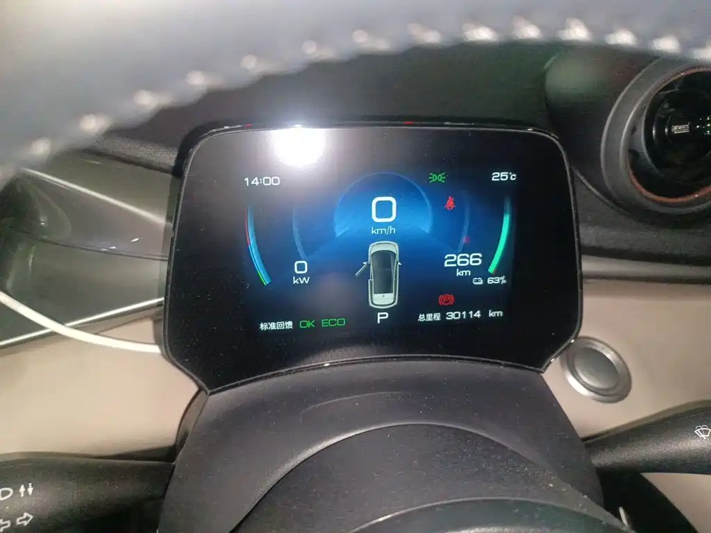BYD Dolphin 2024