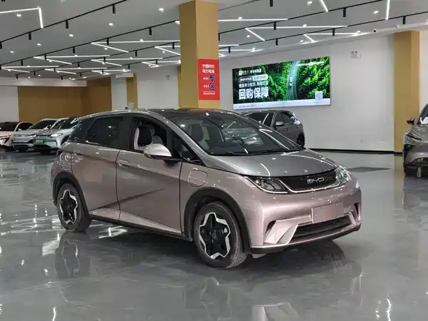 BYD Dolphin 2021