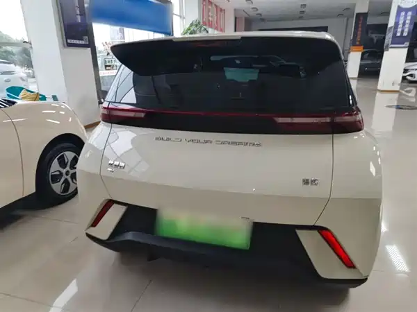 BYD Seagull 2024