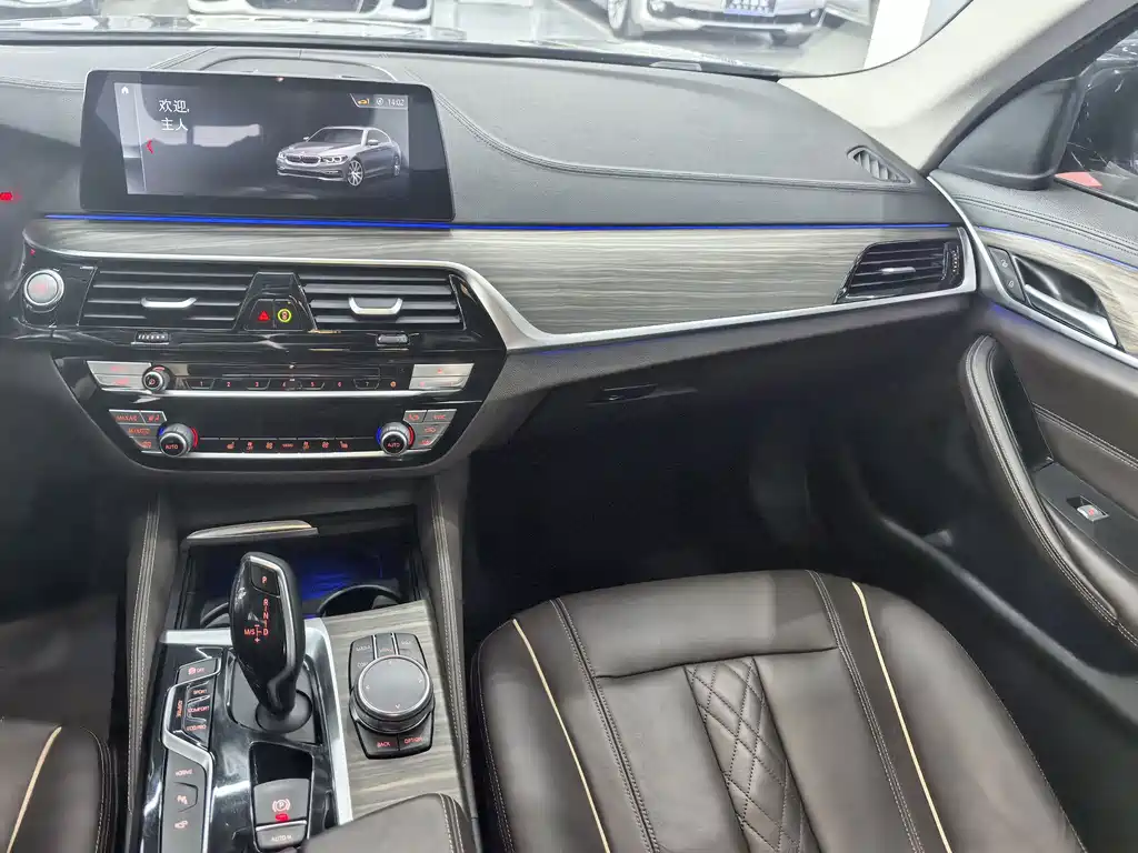 BMW 5 Series New Energy 2018 — фото 15