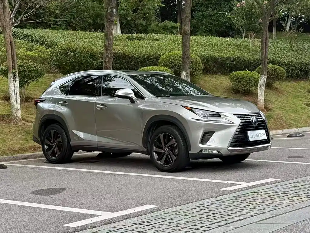 Lexus NX 2021 — фото 1