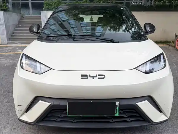 BYD Seagull 2024