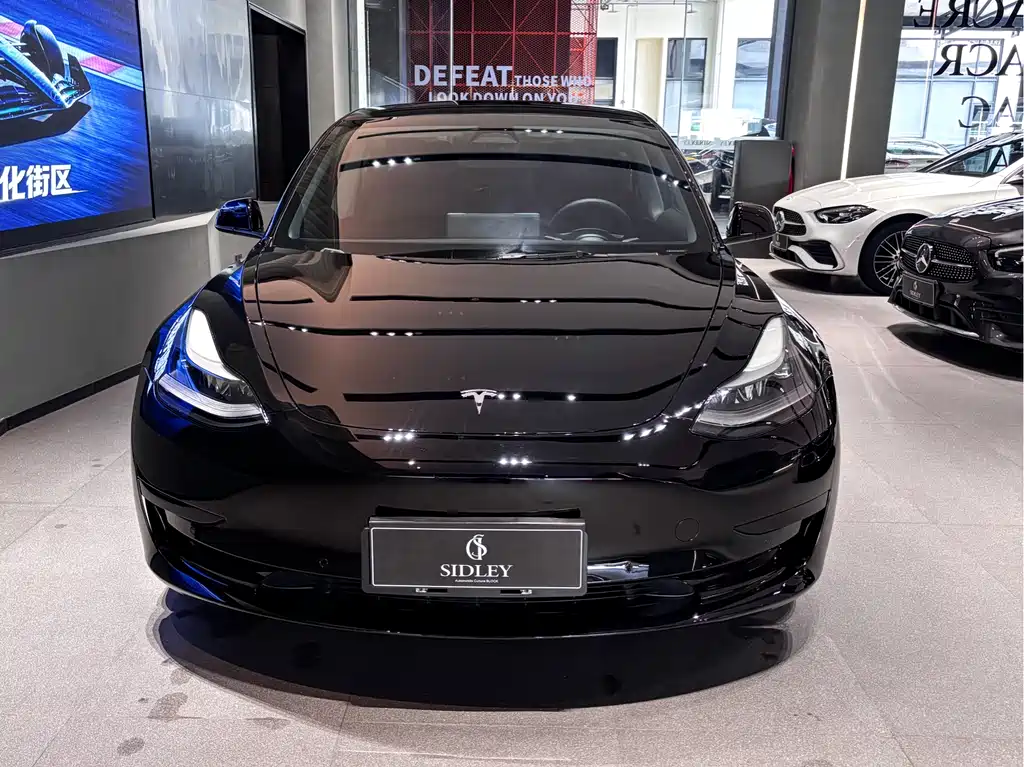 Tesla Model 3 2022 — фото 2