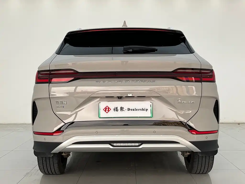 BYD PLUS New Energy 2024 — фото 16
