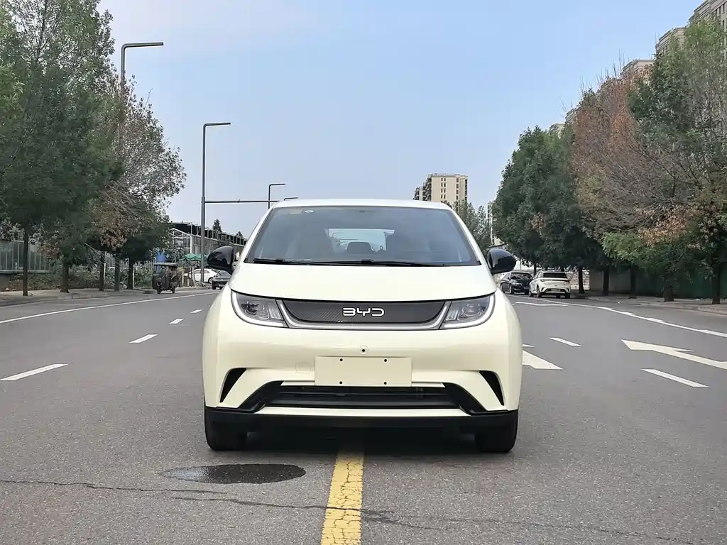 BYD Dolphin 2026