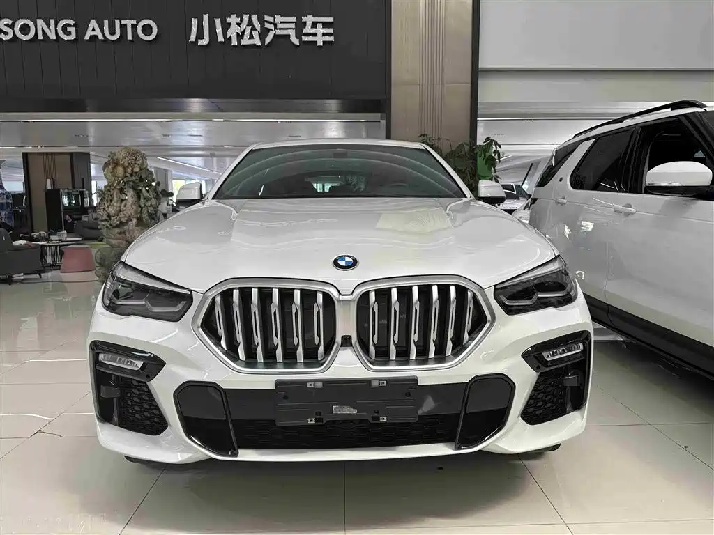 BMW X6 2021 — фото 2