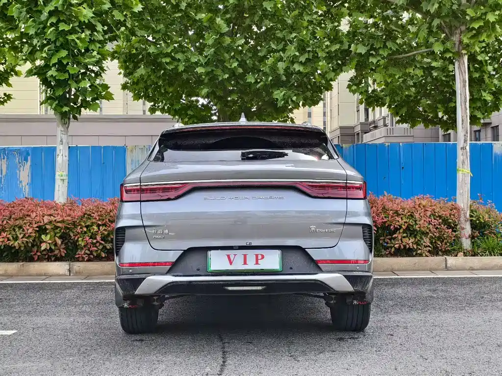 BYD PLUS New Energy 2024 — фото 8