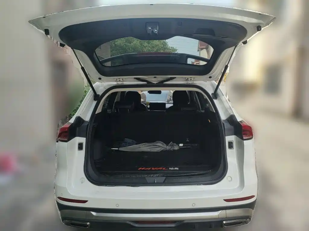 Haval H6 2021 — фото 10
