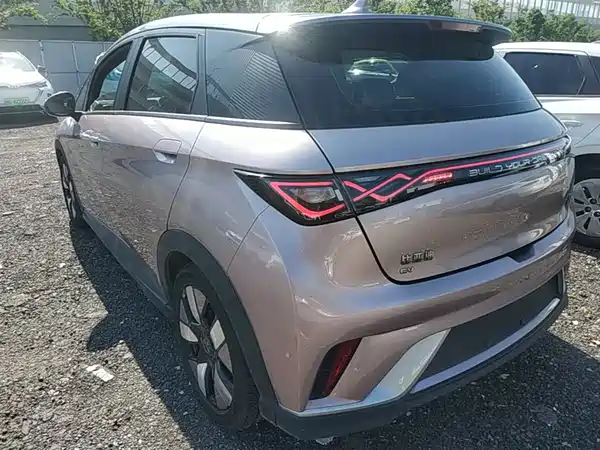 BYD Dolphin 2021