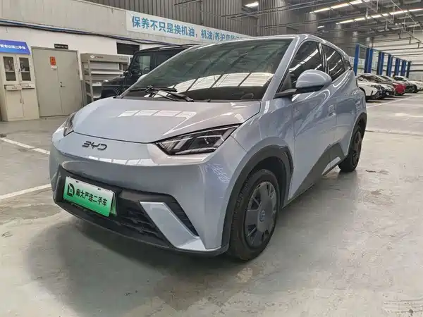 BYD Seagull 2024