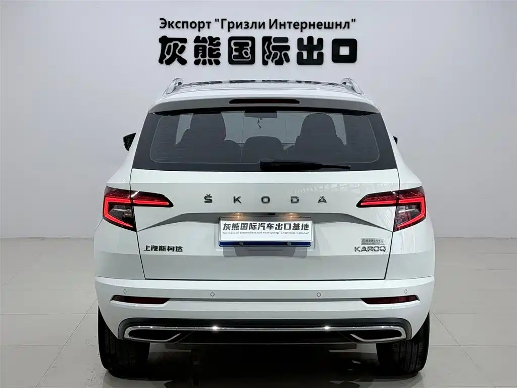 Skoda Karoq 2023 — фото 5