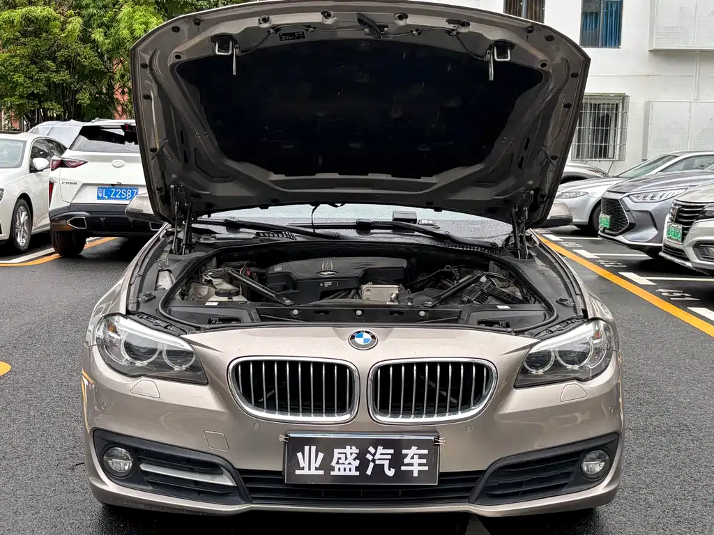 BMW 5 Series 2017 — фото 15