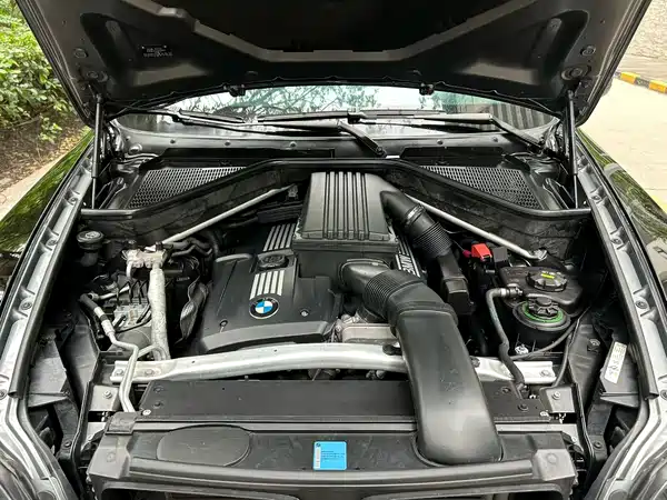 BMW X5 2010
