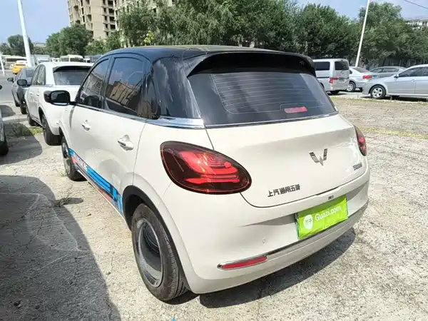 Wuling Bingo 2024