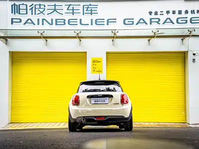 MINI MINI 2018