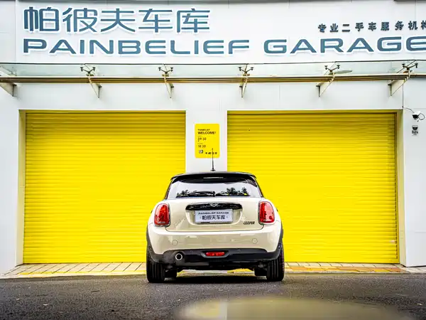 MINI MINI 2018
