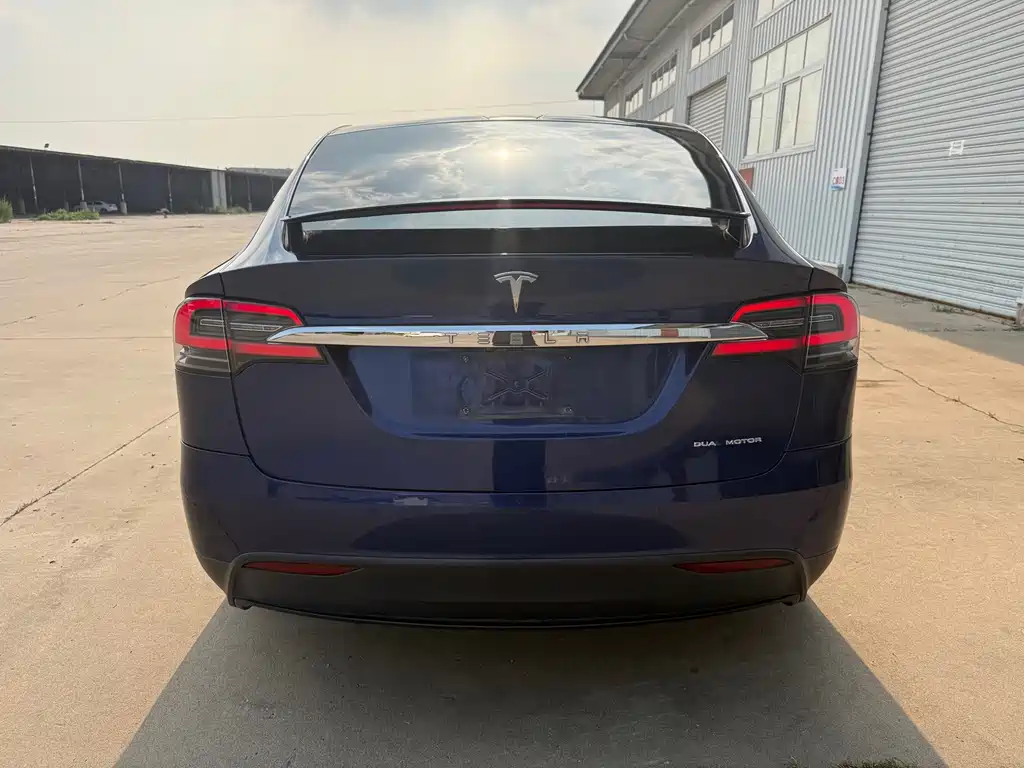 Tesla Model X 2021 — фото 7