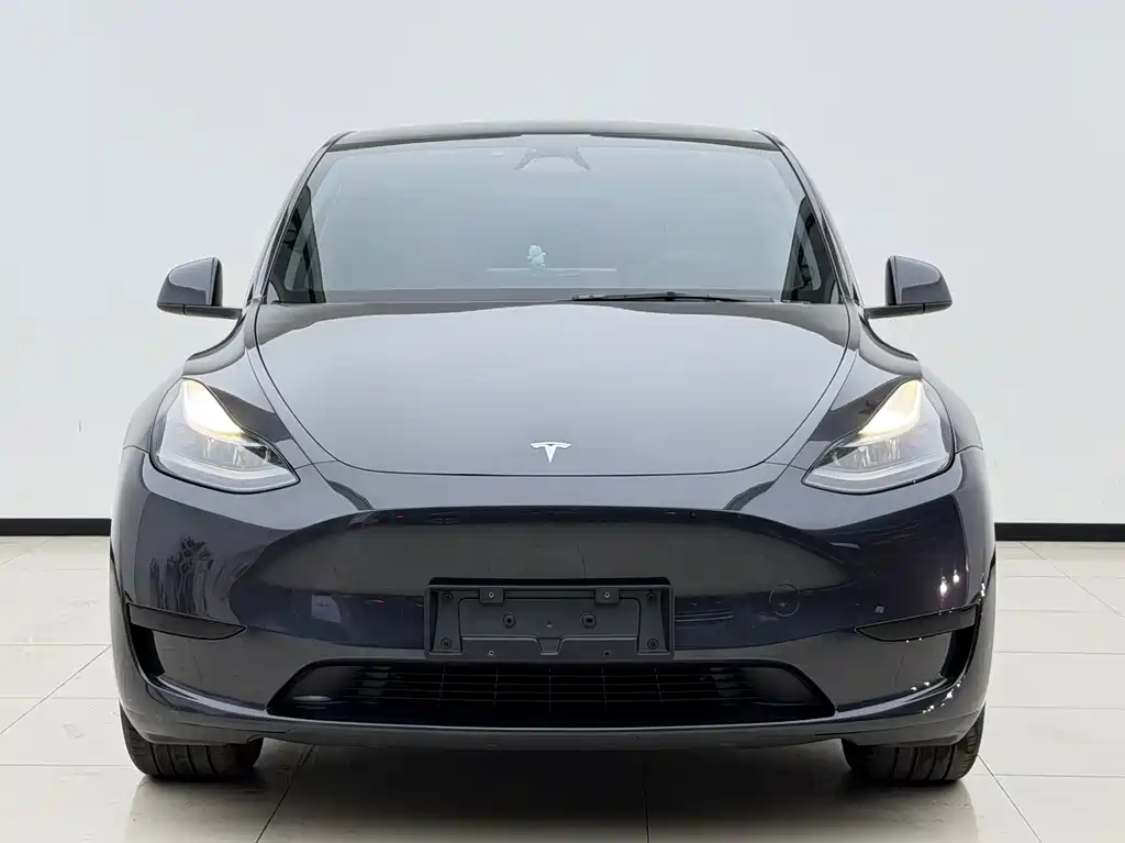 Tesla Model Y 2024 — фото 2