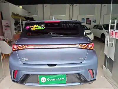 BYD Dolphin 2024