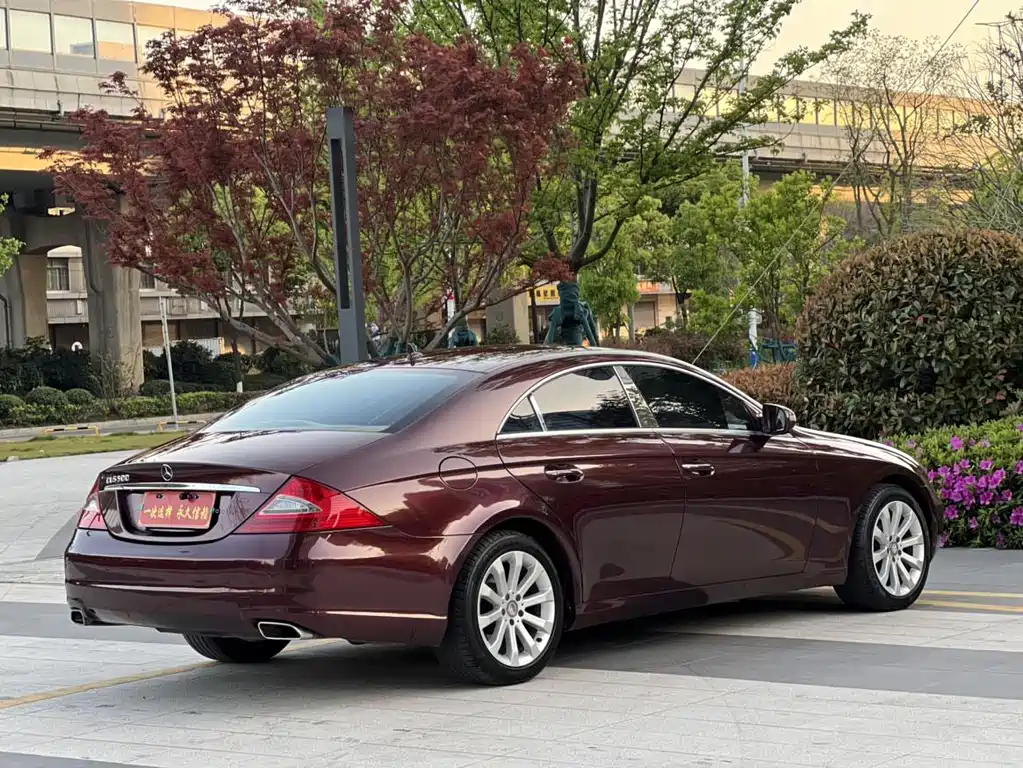 Mercedes-Benz CLS 2010 — фото 14