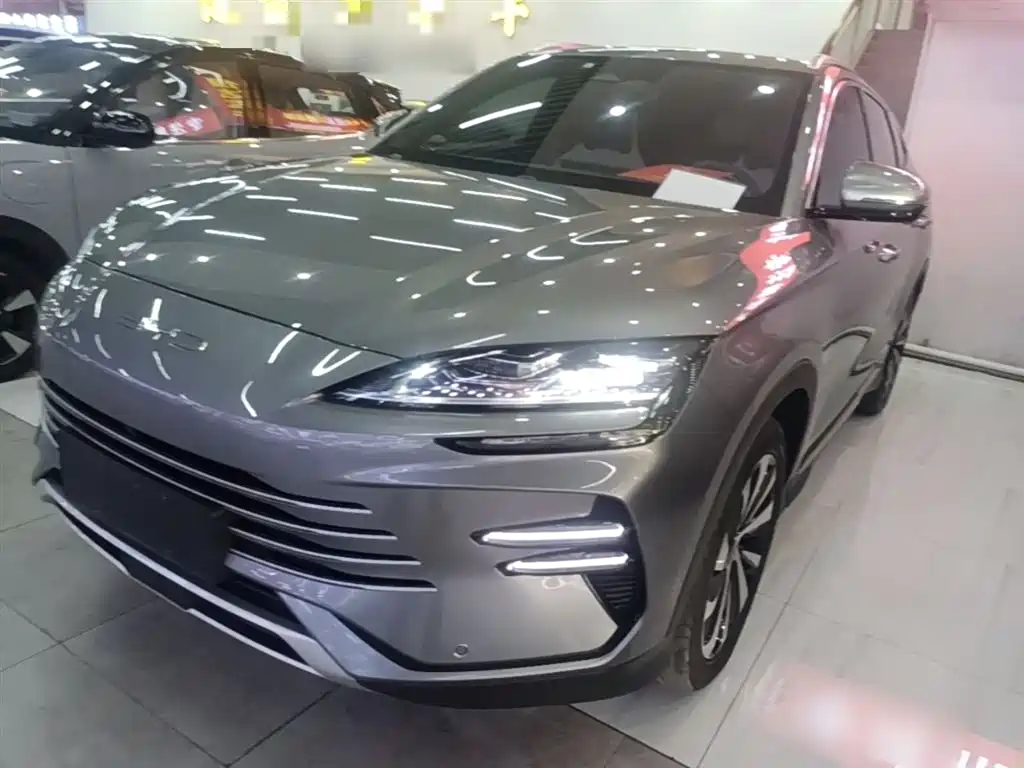 BYD PLUS New Energy 2023 — фото 2