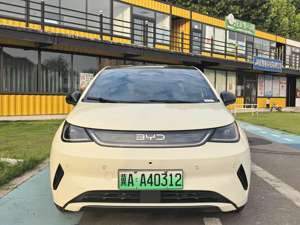 BYD Dolphin 2025 — фото 1