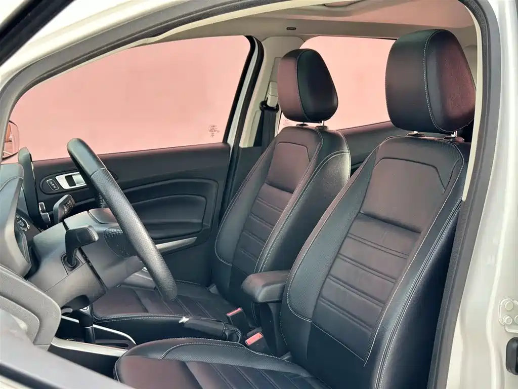 Ford Ecosport 2017 — фото 21