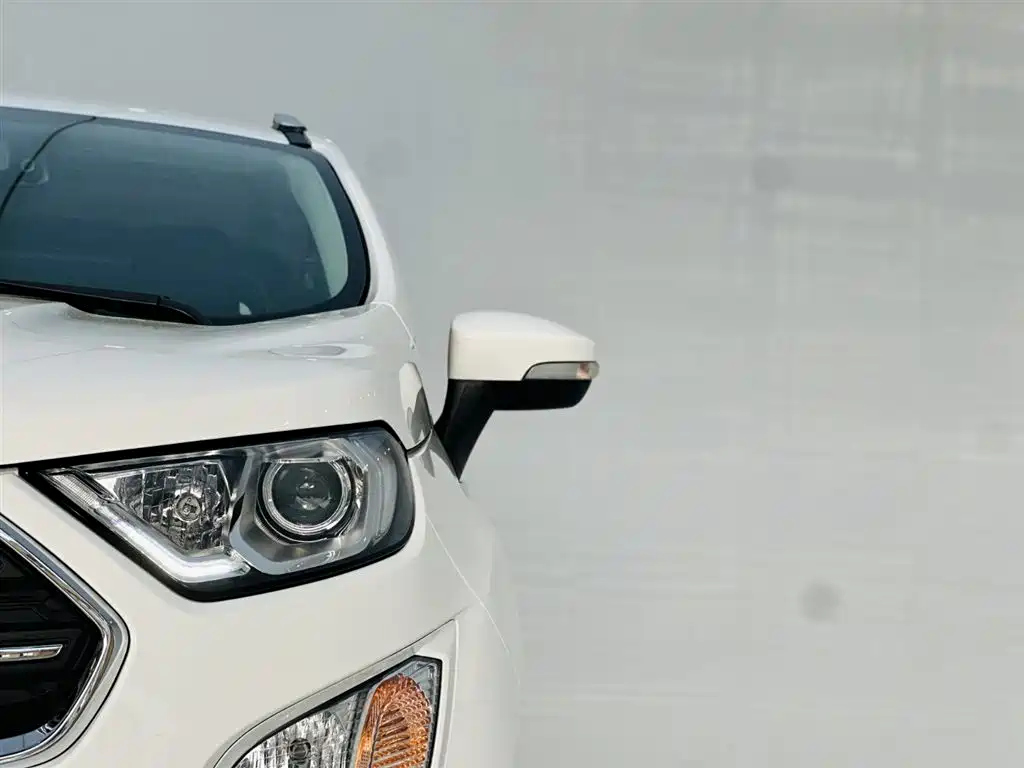 Ford Ecosport 2017 — фото 10