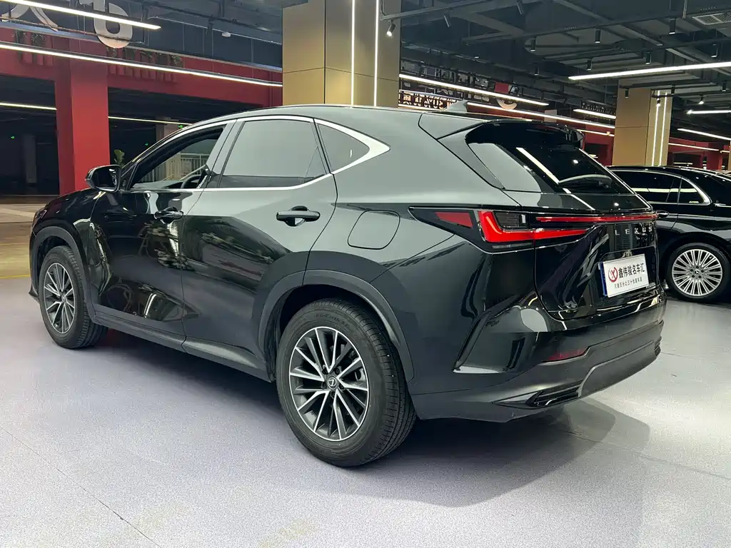 Lexus NX 2024 — фото 17