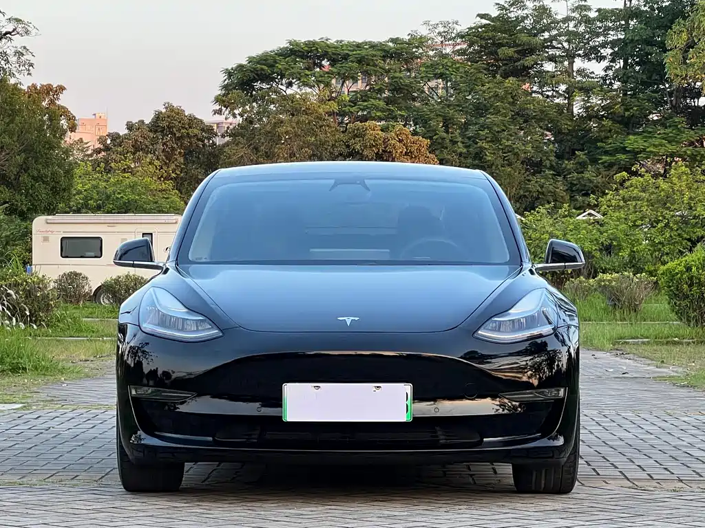 Tesla Model 3 2020 — фото 2